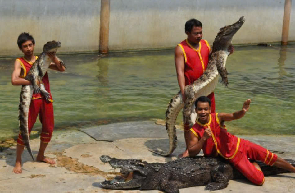 Damnern Saduak Crocodile Farm and Rose Garden