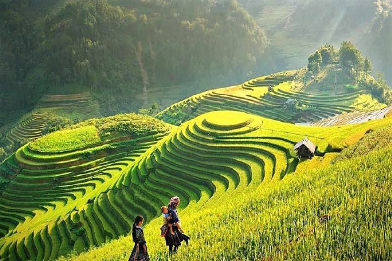 3_days_sapa_best_tours_from_hanoi_7692d8b15d804896b6249aeb5414dfc8_master_1