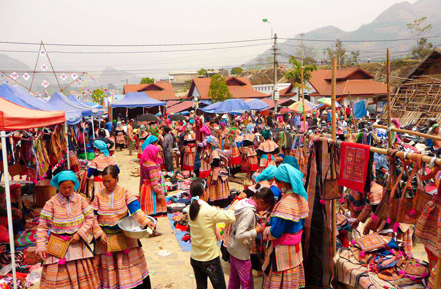 Hanoi - Halong - Sapa 8 Days 7 Nights - SIC Tour