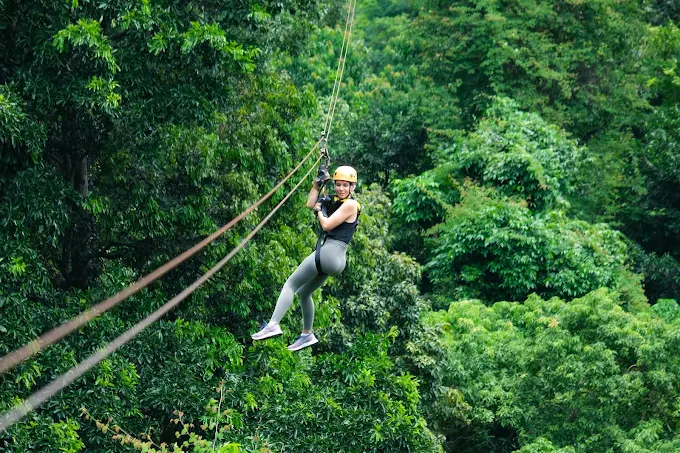 Tree Bridge Zipline Samui