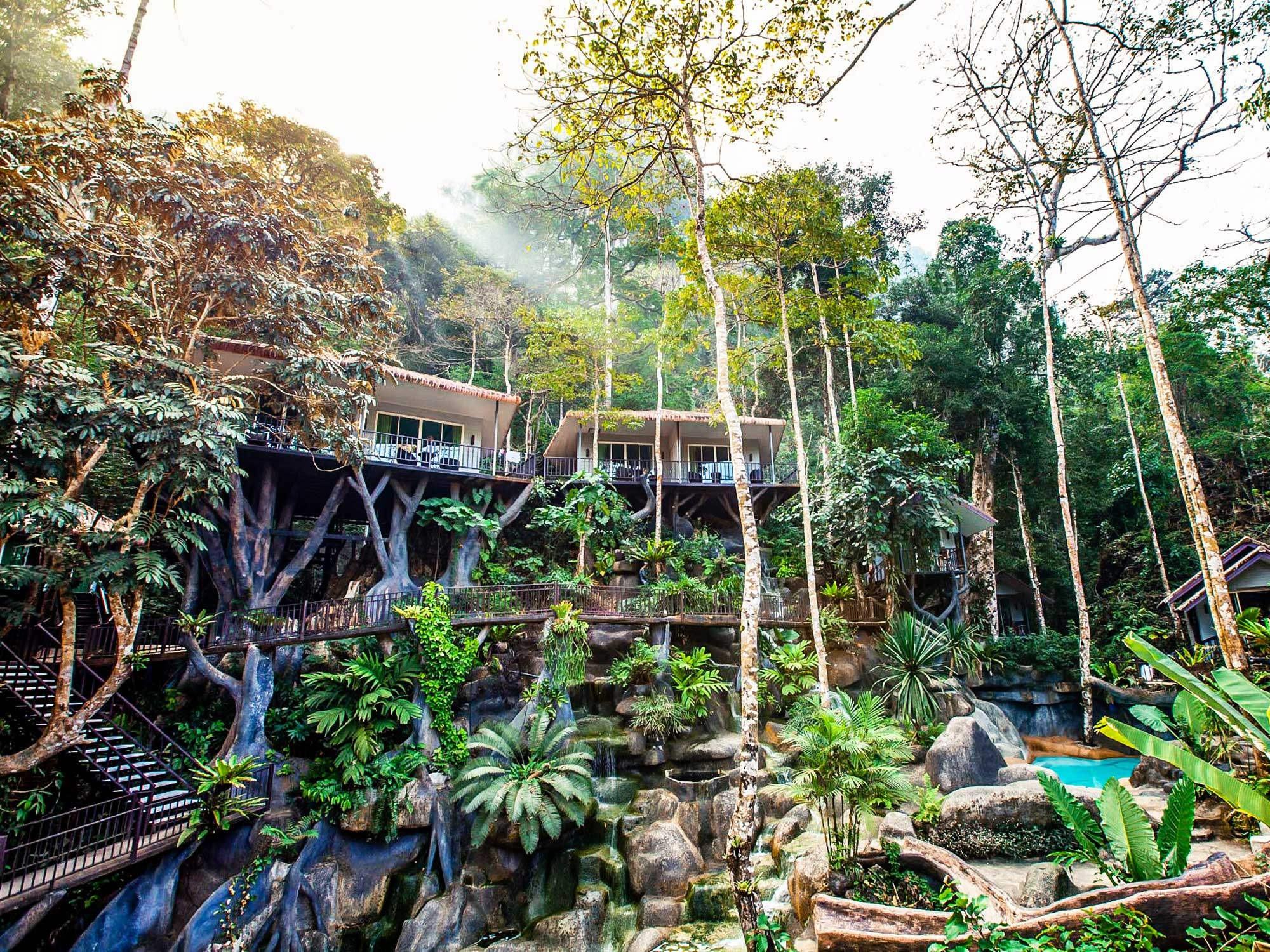 Khao Sok 2 Days Tree House Included Meals