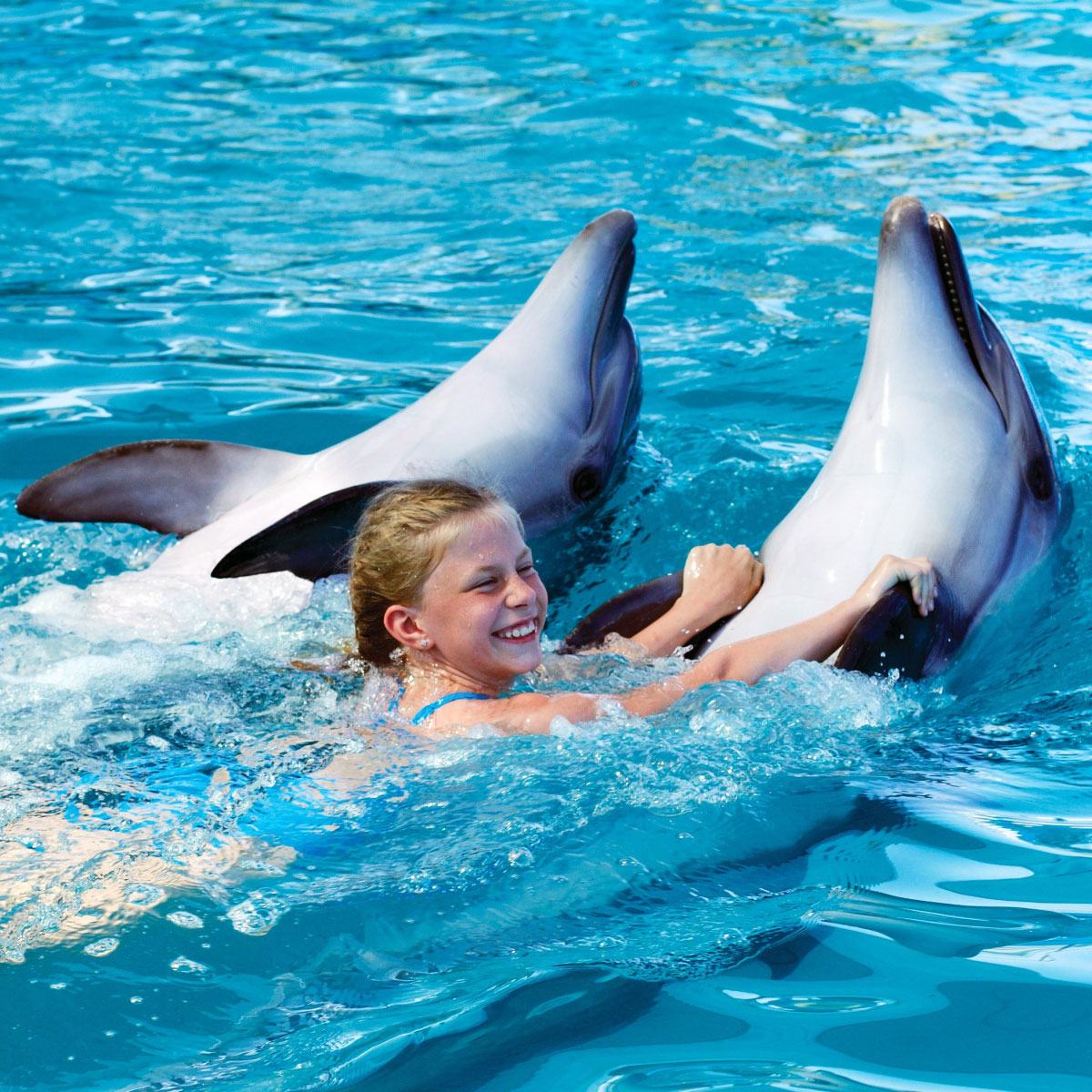 Pattaya Dolphinarium - Swimming with Dolphins